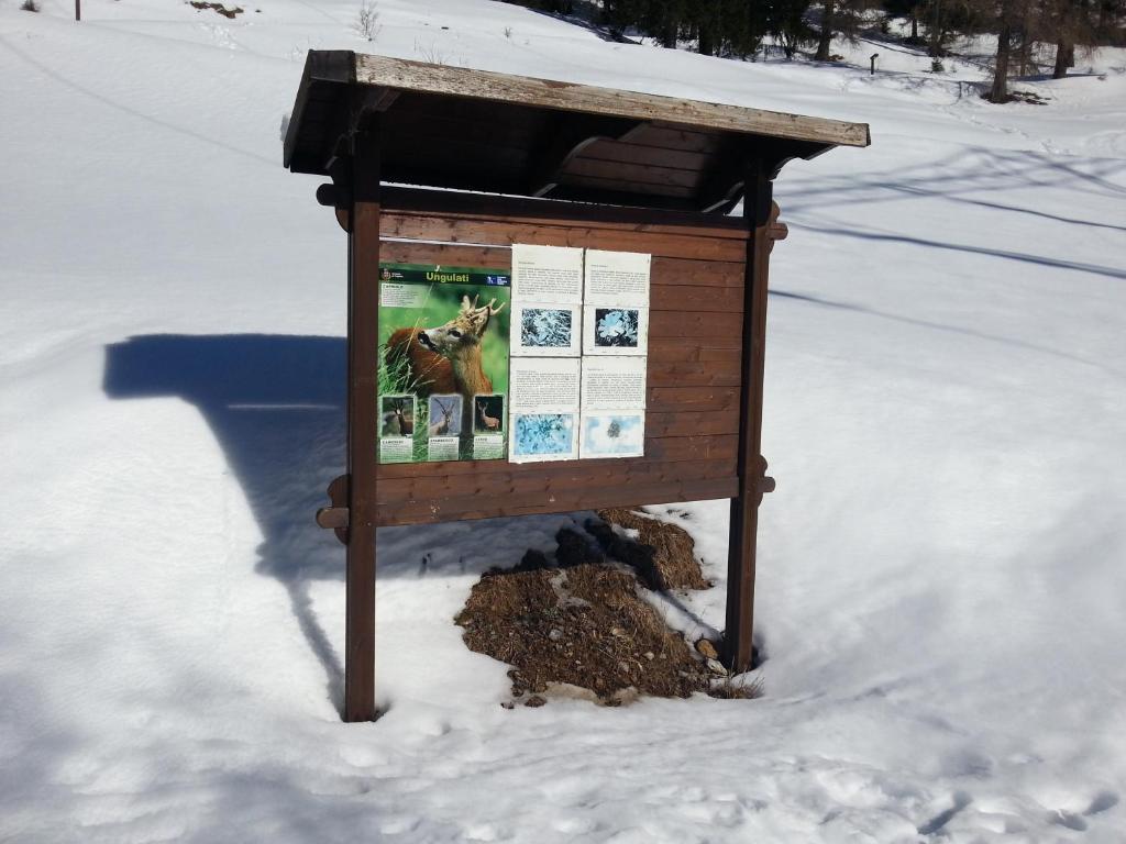 Ar Mountains Villachiara Branzi